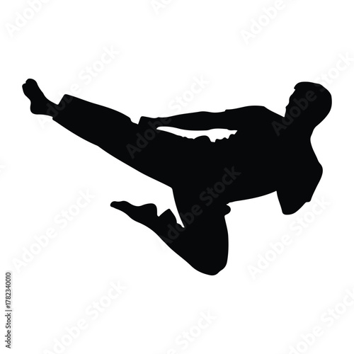 Silhouette of a Man Performing a Karate Kick martial arts