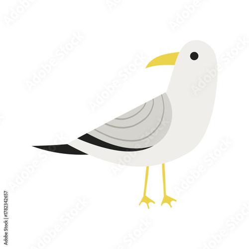 Illustration of a cute White Swan