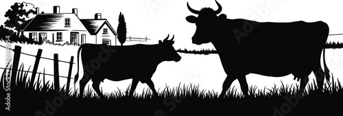 Rural farm landscape illustration, black and white cow silhouette, calf and adult livestock, rustic wooden fence, countryside farmhouse, pastoral scenery, agriculture animals,