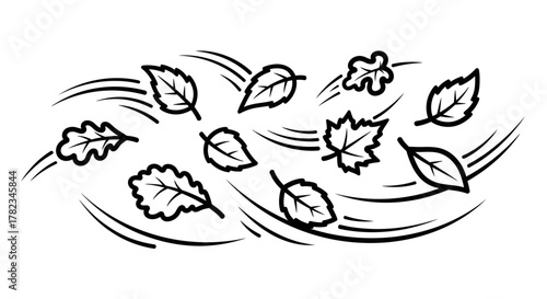 Windy Autumn Leaves A Black and White Illustration of Falling Foliage, Ideal for Designs