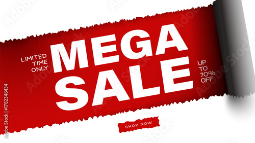 Sale Promotion Banner background. Flash Sales template design for website and social media. Flash Sale promotion.