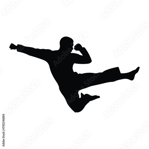 Silhouette of a martial artist performing a flying kick