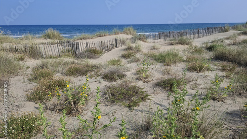 La grande plage de sable entre Sète et Marseillan dans le département de l'Hérault en France