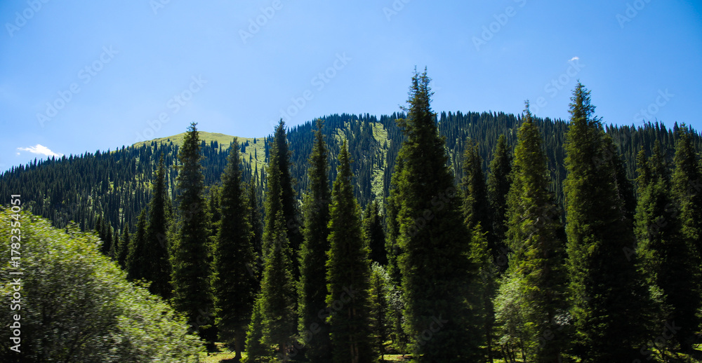 Fototapeta premium The beautiful scenery of Xinjiang, Asia
