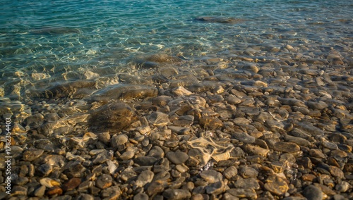 Fototapeta Naklejka Na Ścianę i Meble -  Clear water cascading over smooth stones on a bright summer day, showcasing light and shadow dynamics