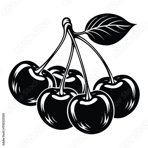 Black and white cherry bunch illustration isolated on a white background