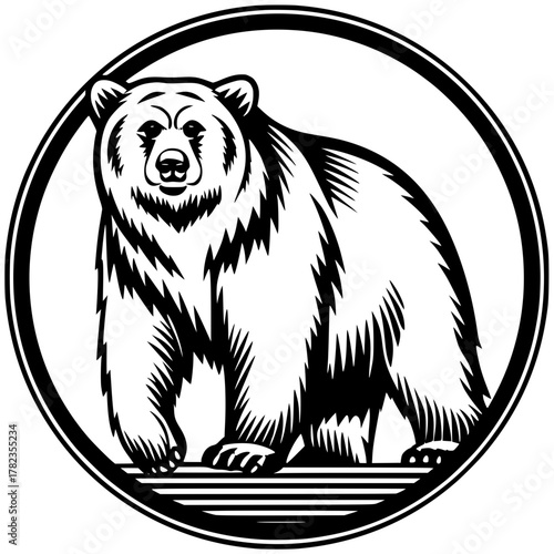 vector illustration of a bear