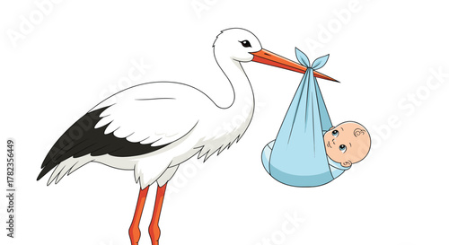 A delightful cartoon illustration shows a white stork carrying a newborn baby in a blue bundle, symbolizing new life and birth.