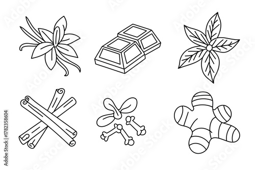 Hand drawn vanilla flower chocolate star anise cinnamon cloves and ginger root spice ingredients for baking sweets