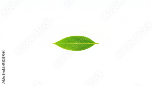 Isolated object on a white ...
