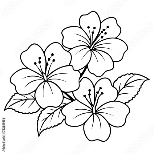 Illustration of three hibiscus flowers with leaves isolated on white background, perfect for coloring books