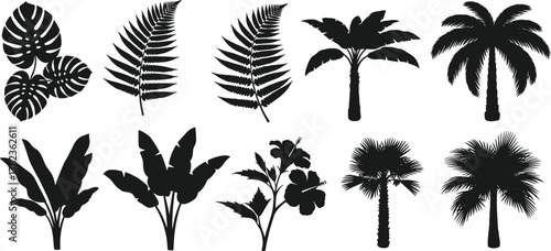 PrintTropical palm tree and exotic leaf silhouette collection, black botanical plants, jungle foliage vector illustration for decoration, summer nature design