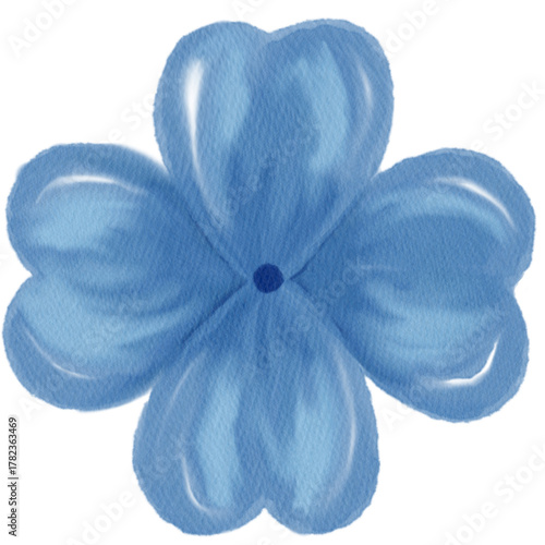 Hydrangea 