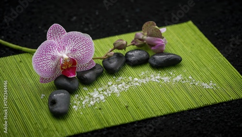 Close-up of pink orchid and...