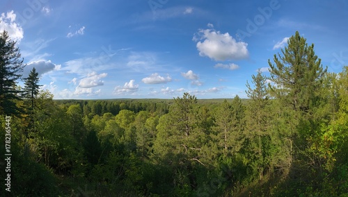 Wide view of a woodland fil...