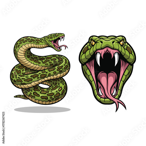 Python Snake Fullbody and Head Illustration