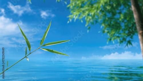 Bamboo leaf against a clear...