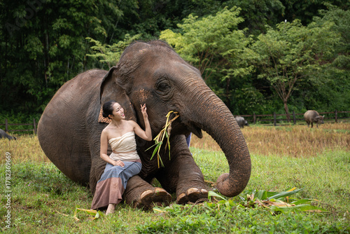 Photography Happy Asian woman sitting beside a resting elephant, gently touching its trunk a