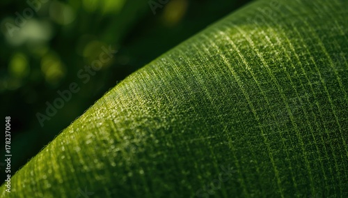 Close-up of a green pattern...