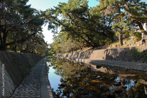 秋の夙川の清き流れ(兵庫県西宮市)