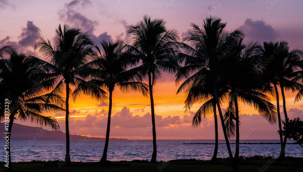 Obraz premium Silhouetted palm trees framed by a vibrant sunset, showcasing natural beauty and tranquility