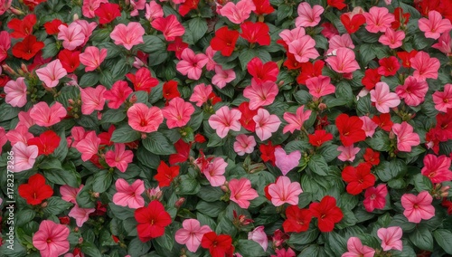 A vibrant and colorful fiel...