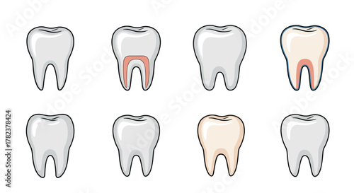Set of eight cartoon-style tooth icons on a white background, showcasing different dental conditions and anatomical details, perfect for educational or medical graphics, representing oral health and