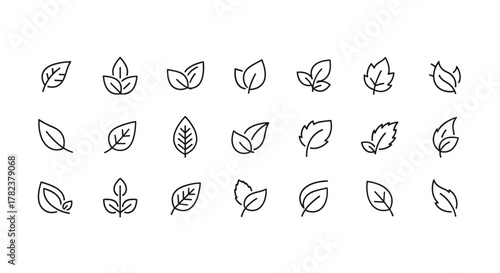 A collection of diverse, minimalist line art icons representing various leaf shapes and styles, perfect for natural, organic, or eco-friendly branding and design projects, presented on a clean white