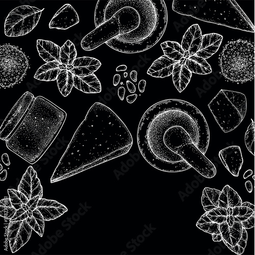 Pesto sauce ingredients vector illustration. Hand drawn sketch. Italian food. Basil, parmesan cheese, pine nuts, garlic, salt, arugula, mortar and pestle