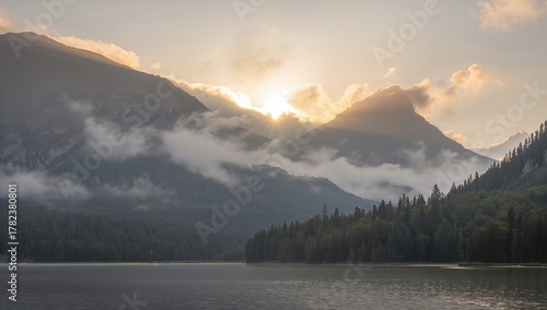 Morning Sunlight Illuminate...