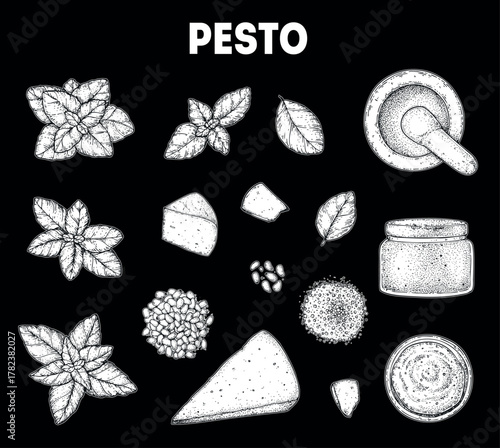 Pesto sauce ingredients vector illustration. Hand drawn sketch. Italian food. Basil, parmesan cheese, pine nuts, garlic, salt, arugula, mortar and pestle