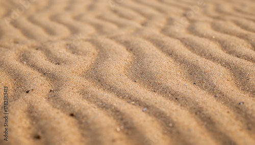 Fototapeta Naklejka Na Ścianę i Meble -  Beautiful sand formations along the ocean's edge, ideal for editorial header background