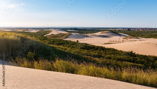 Baltic coastal sand dunes, ...