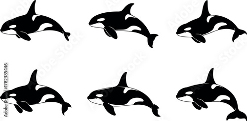 Six orcas swimming in formation against a white background in a simple black and white vector illustration