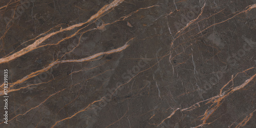Brown polished marble with yellow veins. A deep stone color for your design