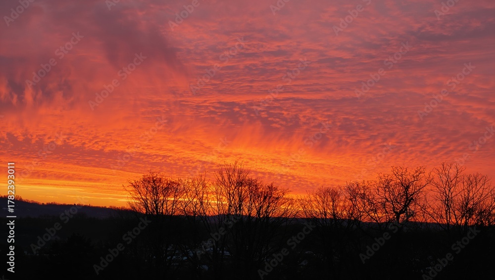 Fototapeta premium A vibrant sunset illuminating treetops, showcasing seasonal change