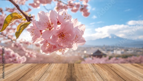 Cherry Blossoms in Bloom, a...