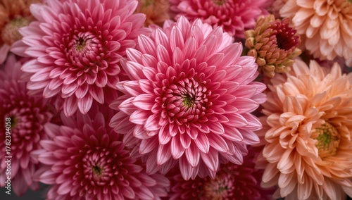 Close-up of vibrant flowers for decorative use, adding a touch of beauty to any setting