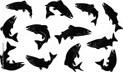 Salmon black silhouette set