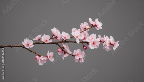 Artificial peach blossom br...