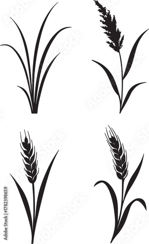 different types of grass and wheat plants silhouette vector illustration