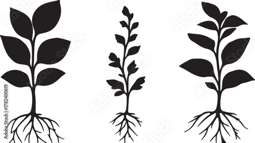 botanical plants with detailed leaves and root structures silhouette vector illustration