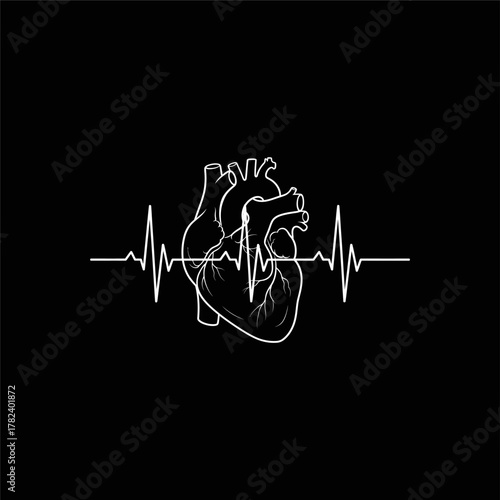 Organ Systems in the Human Body: Types, Parts, and Functions
