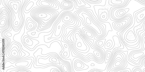 Abstract line of the topographic map. Topographic map lines, contour background. Geographic abstract grid. Topography map background. Vector geographic contour map. 