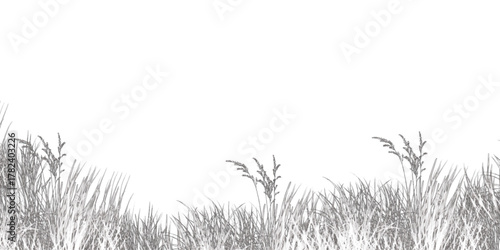 grass silhouette isolated on white. Green grass silhouette on white background
