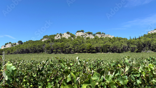Hiking in the Massif de la Clape in Aude Southern France