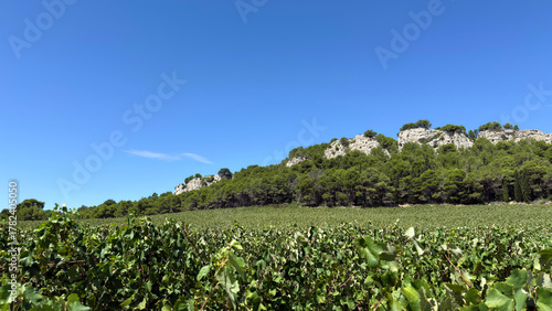 Hiking in the Massif de la Clape in Aude Southern France