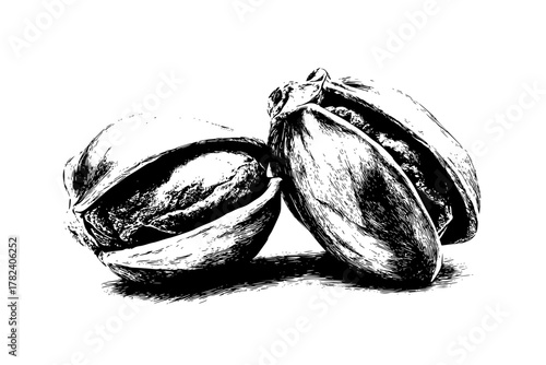 Pistachio's bounty: pair pristine pistons | Clean, isolated vector art for creative projects.