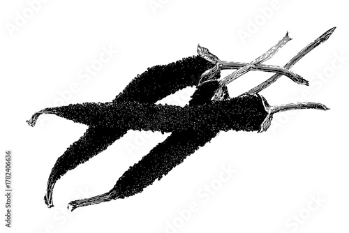 Frolicking Feline Fantasy: Dynamic Dance Daring Grace | Clean, isolated vector art for creative projects.