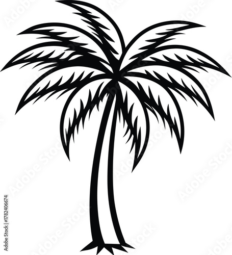 palm tree silhouette